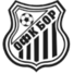 博尔1919